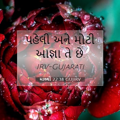 Picture 07 - માથ્થી 22:38 GUJIRV - પહેલી અને મોટી - Bible Verse Picture