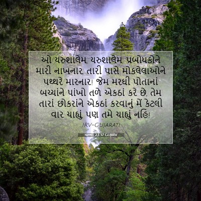 Picture 07 - માથ્થી 23:37 GUJIRV - ઓ યરુશાલેમ, - Bible Verse Picture