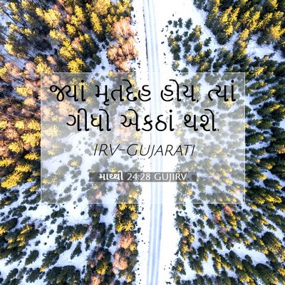 Picture 07 - માથ્થી 24:28 GUJIRV - જ્યાં મૃતદેહ હોય, - Bible Verse Picture
