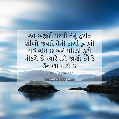 Picture 07 - માથ્થી 24:32 GUJIRV - હવે અંજીરી પરથી - Bible Verse Picture