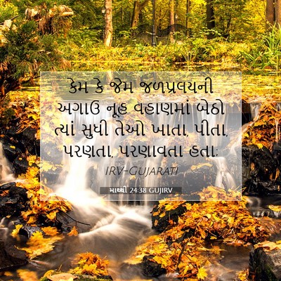 Picture 07 - માથ્થી 24:38 GUJIRV - કેમ કે જેમ - Bible Verse Picture
