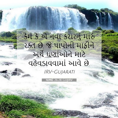 Picture 07 - માથ્થી 26:28 GUJIRV - કેમ કે એ નવા - Bible Verse Picture
