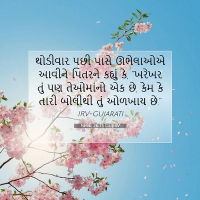 Picture 07 - માથ્થી 26:73 GUJIRV - થોડીવાર પછી પાસે - Bible Verse Picture