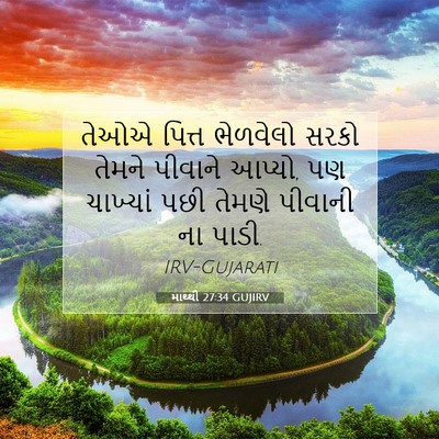 Picture 07 - માથ્થી 27:34 GUJIRV - તેઓએ પિત્ત - Bible Verse Picture
