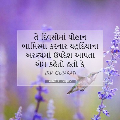 Picture 07 - માથ્થી 3:1 GUJIRV - તે દિવસોમાં યોહાન - Bible Verse Picture