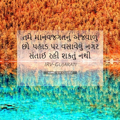 Picture 07 - માથ્થી 5:14 GUJIRV - તમે માનવજગતનું - Bible Verse Picture