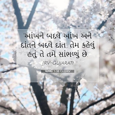 Picture 07 - માથ્થી 5:38 GUJIRV - ‘આંખને બદલે આંખ - Bible Verse Picture