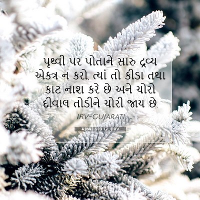 Picture 07 - માથ્થી 6:19 GUJIRV - પૃથ્વી પર પોતાને - Bible Verse Picture