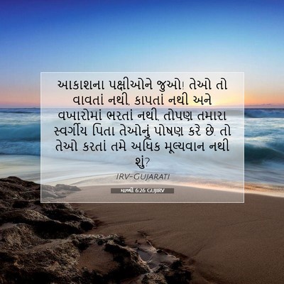 Picture 07 - માથ્થી 6:26 GUJIRV - આકાશના પક્ષીઓને - Bible Verse Picture