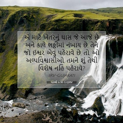 Picture 07 - માથ્થી 6:30 GUJIRV - એ માટે ખેતરનું ઘાસ - Bible Verse Picture