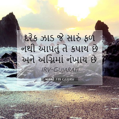 Picture 07 - માથ્થી 7:19 GUJIRV - દરેક ઝાડ જે સારું - Bible Verse Picture