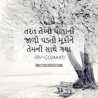Picture 07 - માર્ક 1:18 GUJIRV - તરત તેઓ પોતાની - Bible Verse Picture