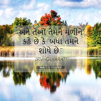 Picture 07 - માર્ક 1:37 GUJIRV - અને તેઓ તેમને - Bible Verse Picture