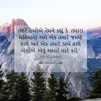 Picture 07 - માર્ક 10:37 GUJIRV - ત્યારે તેઓએ તેમને - Bible Verse Picture