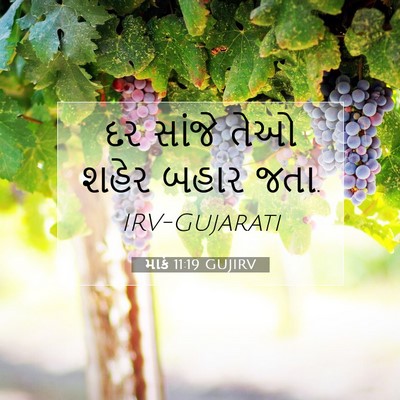 Picture 07 - માર્ક 11:19 GUJIRV - દર સાંજે તેઓ શહેર - Bible Verse Picture