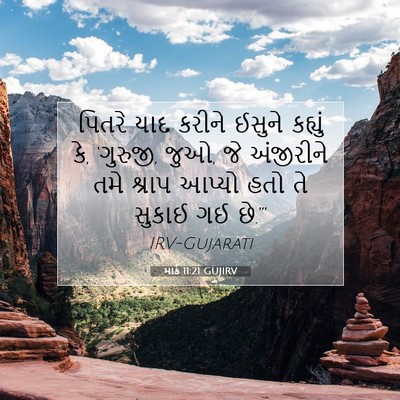 Picture 07 - માર્ક 11:21 GUJIRV - પિતરે યાદ કરીને - Bible Verse Picture