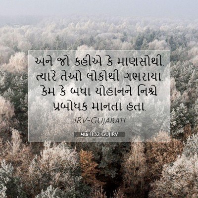 Picture 07 - માર્ક 11:32 GUJIRV - અને જો કહીએ કે - Bible Verse Picture
