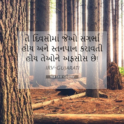 Picture 07 - માર્ક 13:17 GUJIRV - તે દિવસોમાં જેઓ - Bible Verse Picture