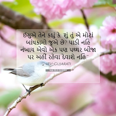 Picture 07 - માર્ક 13:2 GUJIRV - ઈસુએ તેને કહ્યું - Bible Verse Picture