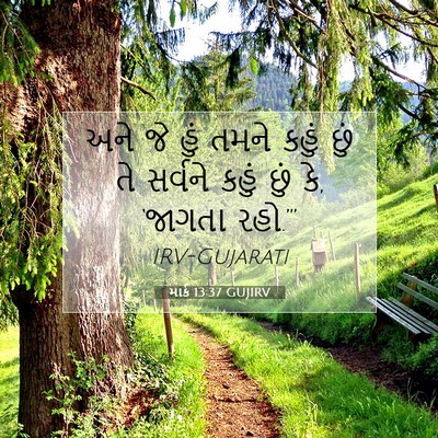 Picture 07 - માર્ક 13:37 GUJIRV - અને જે હું તમને - Bible Verse Picture