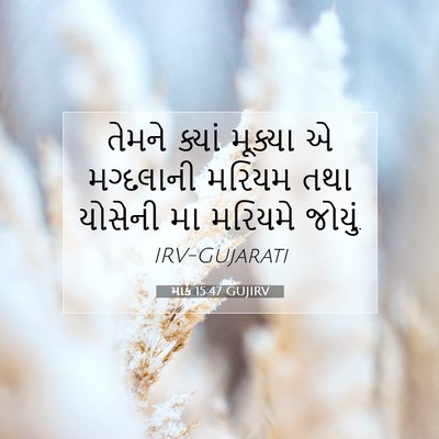 Picture 07 - માર્ક 15:47 GUJIRV - તેમને ક્યાં - Bible Verse Picture