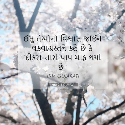 Picture 07 - માર્ક 2:5 GUJIRV - ઈસુ તેઓનો વિશ્વાસ - Bible Verse Picture