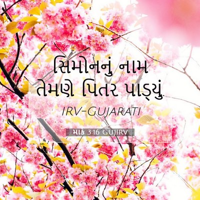 Picture 07 - માર્ક 3:16 GUJIRV - સિમોનનું નામ - Bible Verse Picture