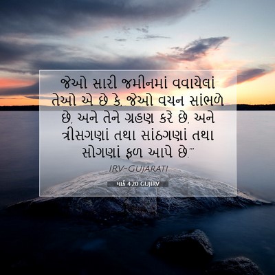 Picture 07 - માર્ક 4:20 GUJIRV - જેઓ સારી જમીનમાં - Bible Verse Picture