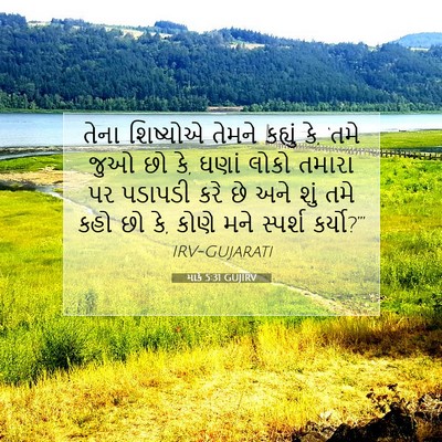 Picture 07 - માર્ક 5:31 GUJIRV - તેના શિષ્યોએ - Bible Verse Picture