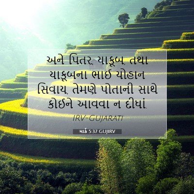 Picture 07 - માર્ક 5:37 GUJIRV - અને પિતર, યાકૂબ, - Bible Verse Picture