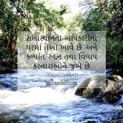 Picture 07 - માર્ક 5:38 GUJIRV - સભાસ્થાનના - Bible Verse Picture