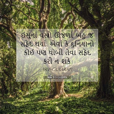 Picture 07 - માર્ક 9:3 GUJIRV - ઈસુનાં વસ્ત્રો - Bible Verse Picture