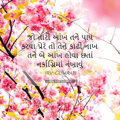 Picture 07 - માર્ક 9:47 GUJIRV - જો તારી આંખ તને પાપ - Bible Verse Picture