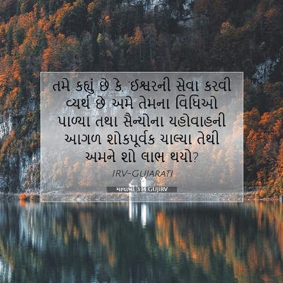 Picture 07 - માલાખી 3:14 GUJIRV - તમે કહ્યું છે કે, - Bible Verse Picture