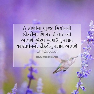 Picture 07 - મીખાહ 4:8 GUJIRV - હે, ટોળાંના બુરજ, - Bible Verse Picture
