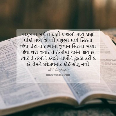 Picture 07 - મીખાહ 5:8 GUJIRV - યાકૂબના બચેલા ઘણી - Bible Verse Picture