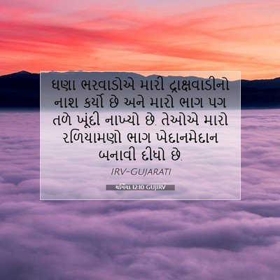 Picture 07 - યર્મિયા 12:10 GUJIRV - ઘણા ભરવાડોએ મારી - Bible Verse Picture