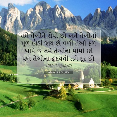 Picture 07 - યર્મિયા 12:2 GUJIRV - તમે તેઓને રોપો છો - Bible Verse Picture