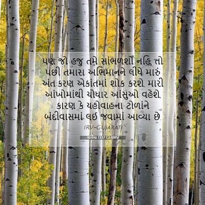 Picture 07 - યર્મિયા 13:17 GUJIRV - પણ જો હજુ તમે - Bible Verse Picture