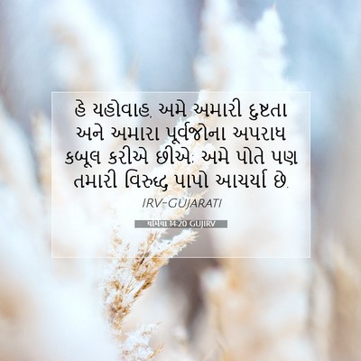 Picture 07 - યર્મિયા 14:20 GUJIRV - હે યહોવાહ, અમે - Bible Verse Picture
