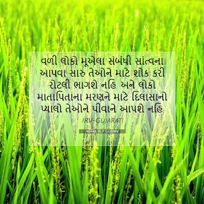 Picture 07 - યર્મિયા 16:7 GUJIRV - વળી લોકો મૂએલા - Bible Verse Picture