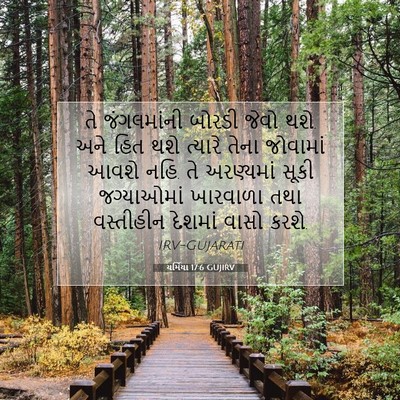 Picture 07 - યર્મિયા 17:6 GUJIRV - તે જંગલમાંની - Bible Verse Picture