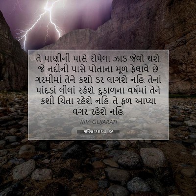 Picture 07 - યર્મિયા 17:8 GUJIRV - તે પાણીની પાસે - Bible Verse Picture