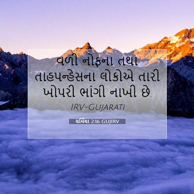 Picture 07 - યર્મિયા 2:16 GUJIRV - વળી નોફના તથા - Bible Verse Picture