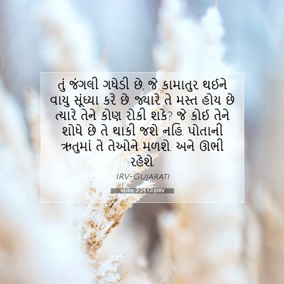 Picture 07 - યર્મિયા 2:24 GUJIRV - તું જંગલી ગધેડી છે, - Bible Verse Picture