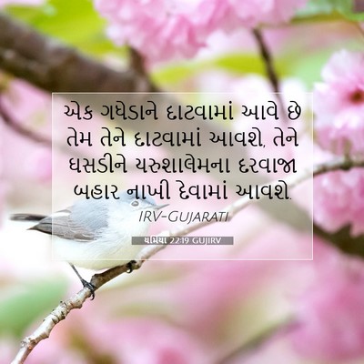Picture 07 - યર્મિયા 22:19 GUJIRV - એક ગધેડાને - Bible Verse Picture