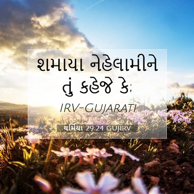 Picture 07 - યર્મિયા 29:24 GUJIRV - શમાયા નેહેલામીને - Bible Verse Picture