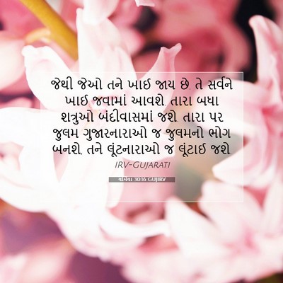 Picture 07 - યર્મિયા 30:16 GUJIRV - જેથી જેઓ તને ખાઈ - Bible Verse Picture