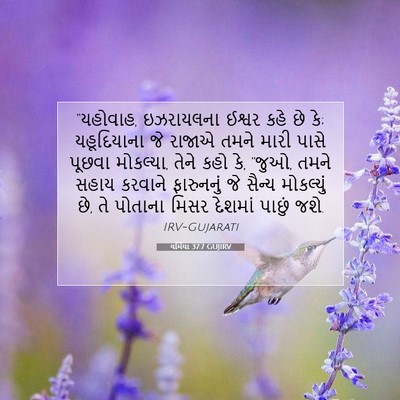 Picture 07 - યર્મિયા 37:7 GUJIRV - “યહોવાહ, ઇઝરાયલના - Bible Verse Picture