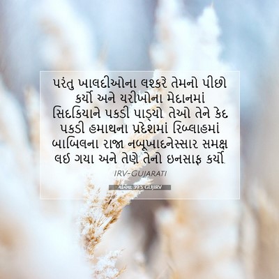 Picture 07 - યર્મિયા 39:5 GUJIRV - પરંતુ ખાલદીઓના - Bible Verse Picture